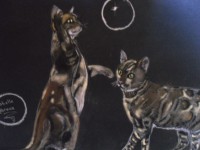 /album/chats/photo-467-jpg/